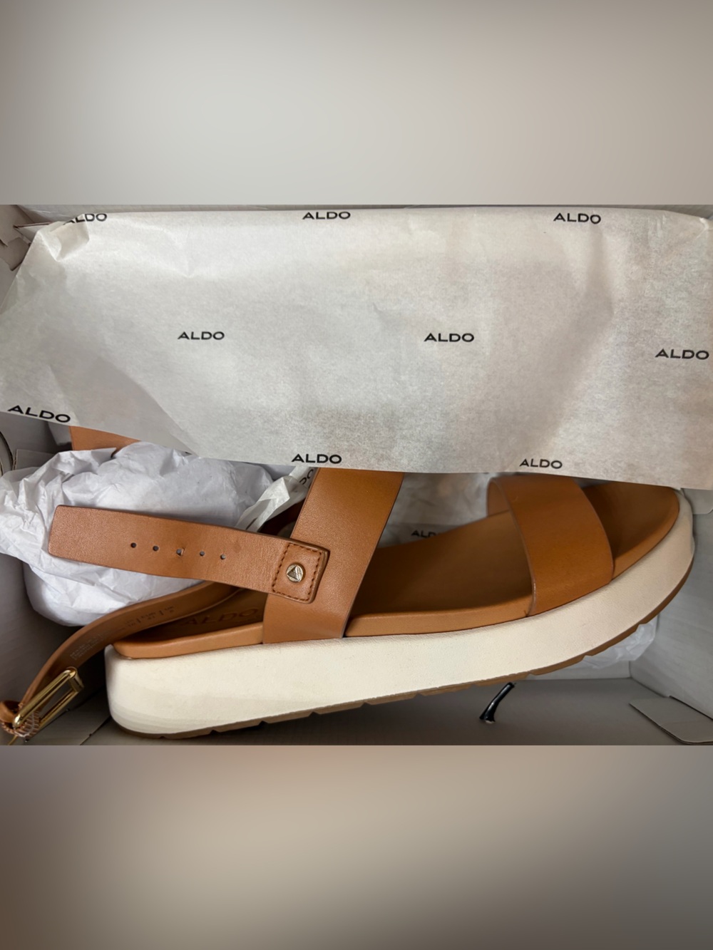 Aldo White Shoe Box with Size Label